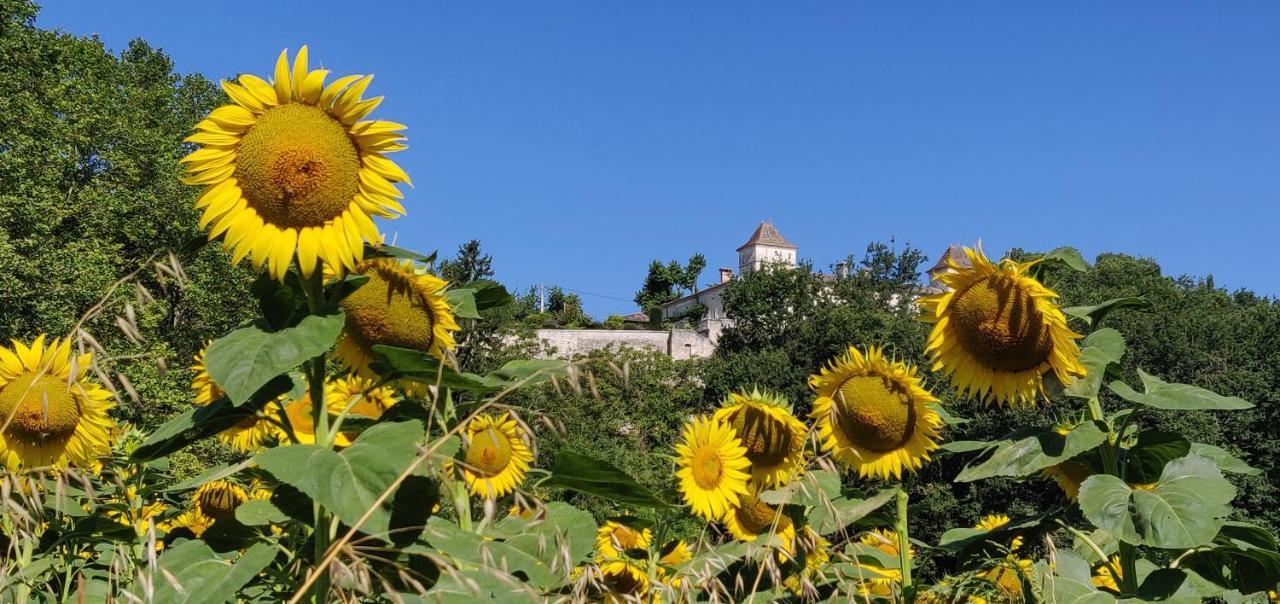 Вілла Manoir Le Bourg, Touffailles Екстер'єр фото